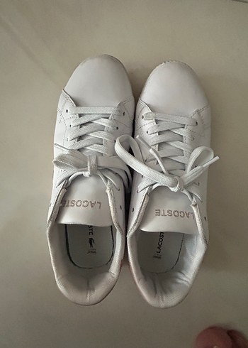 Lacoste 37