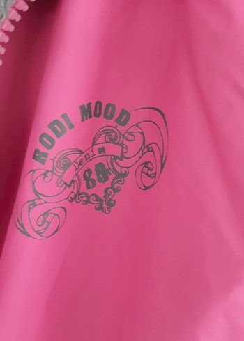 Pembe Kadın Uzun Kollu Casual Ceket - Görsel 2