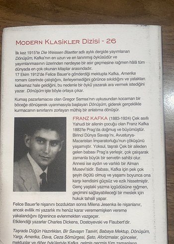 Franz Kafka - Dönüşüm - Görsel 2