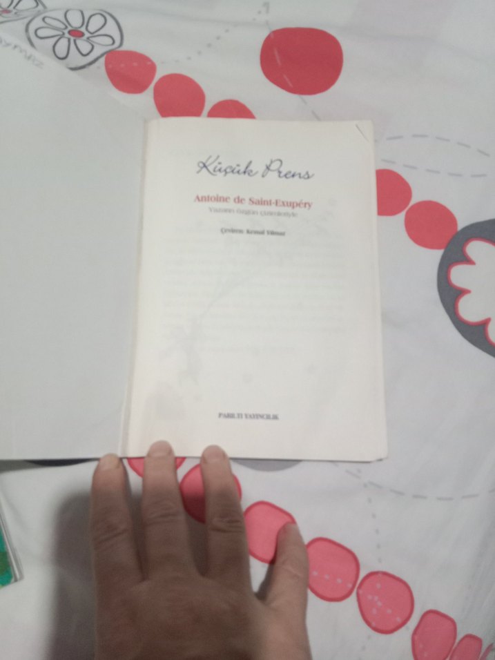 Küçük Prens - Antoine de Saint-Exupéry - Görsel 2