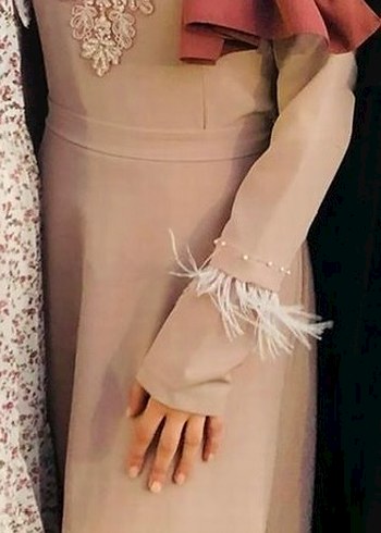 Nakış Detaylı pudra Uzun Abiye Elbise - Görsel 6