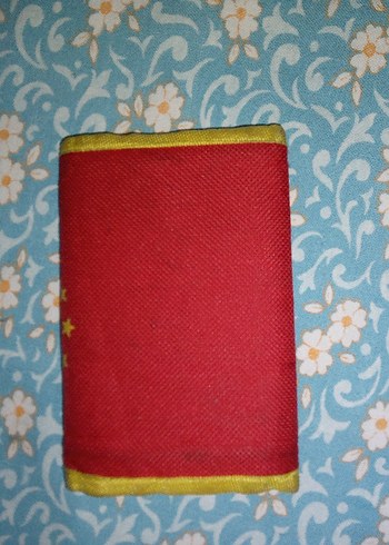 Galatasaray Baskılı Renkli Çocuk Cüzdanı - Görsel 2