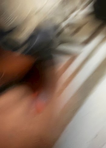 Harley Davidson Siyah Deri Biker Kadın Botları - Görsel 5