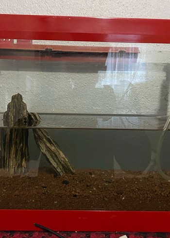 Kırmızı Çerçeveli Akvaryum