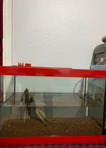 Kırmızı Çerçeveli Akvaryum - Görsel 2