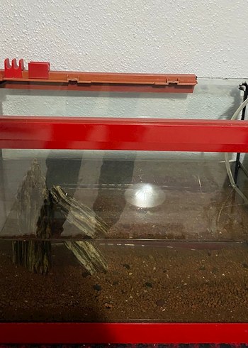 Kırmızı Çerçeveli Akvaryum - Görsel 3