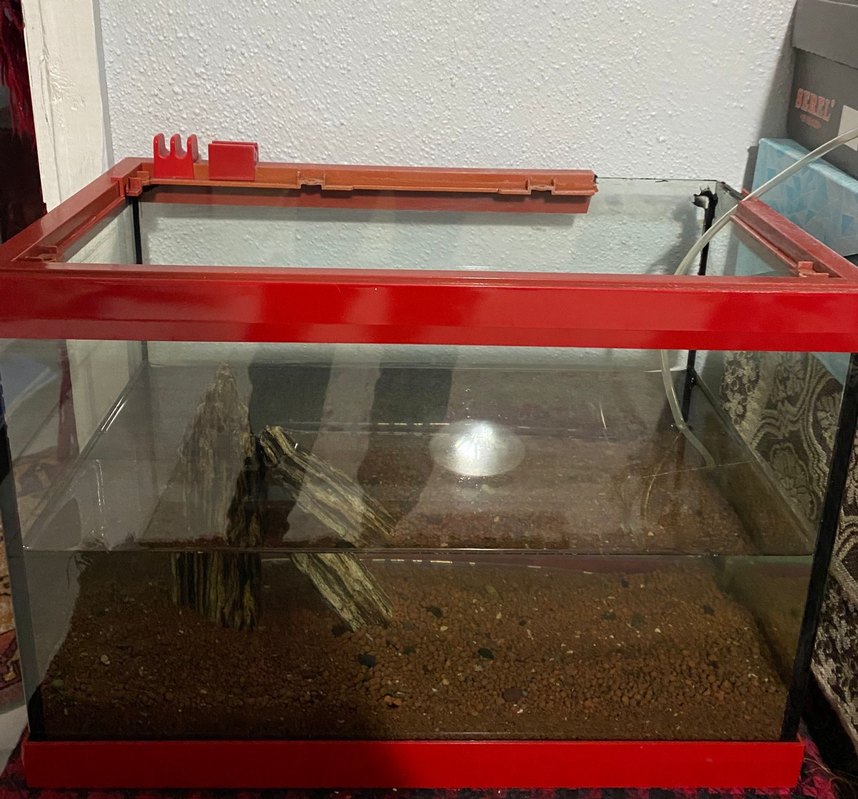 Kırmızı Çerçeveli Akvaryum - Görsel 3