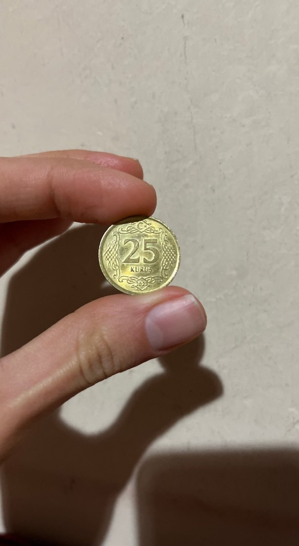 Altın renkli 25 kruş - Görsel 3