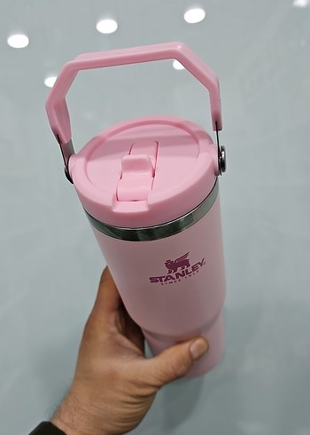 Stanley Pembe Çocuk Termos Şişesi - Görsel 4