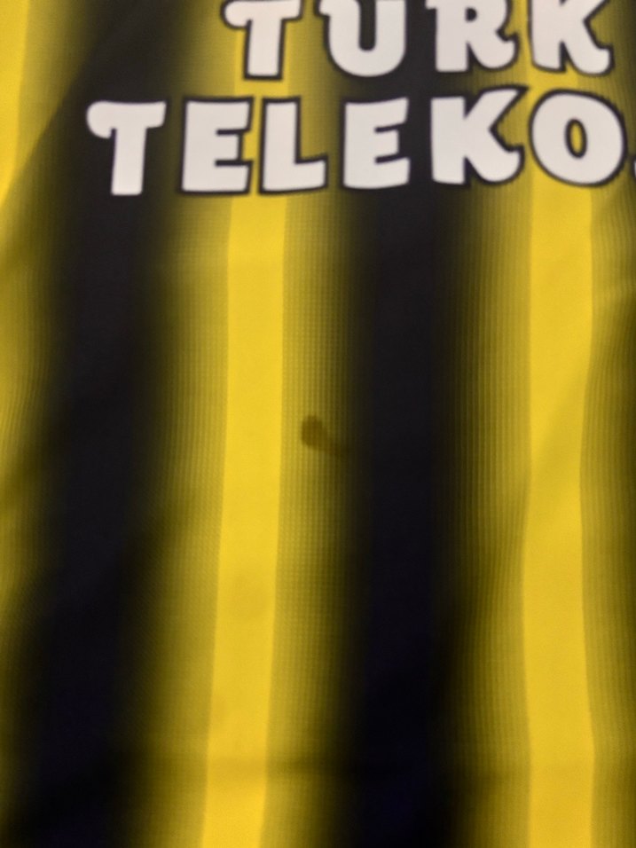 Fenerbahce 13/14 sezonu forma - Görsel 3