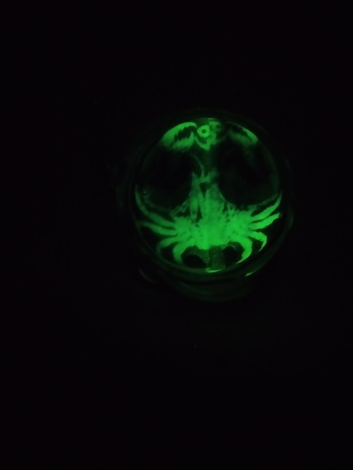 Şeffaf Turkuaz Zodiac Yengec Burcu Anahtarlık - Görsel 4