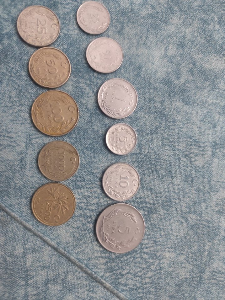 eski paralar aynı dönemin 25kurustan başlayarak 2500 TL ye kadar - Görsel 4