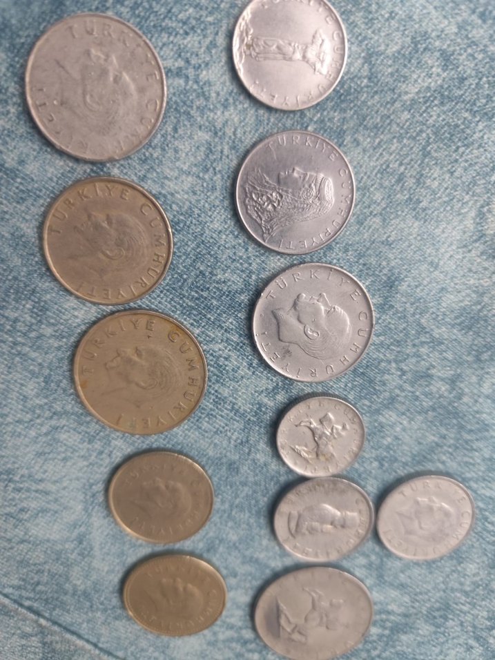 eski paralar aynı dönemin 25kurustan başlayarak 2500 TL ye kadar - Görsel 2
