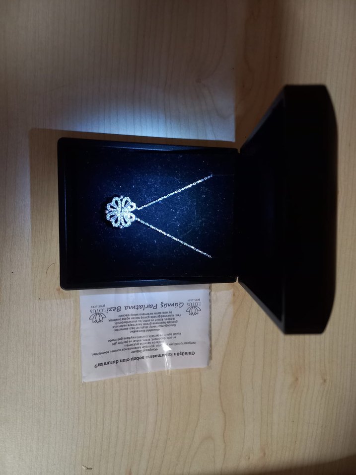 925 ayar gümüş Renkli Kalp Desenli Zincir Kolye - Görsel 2