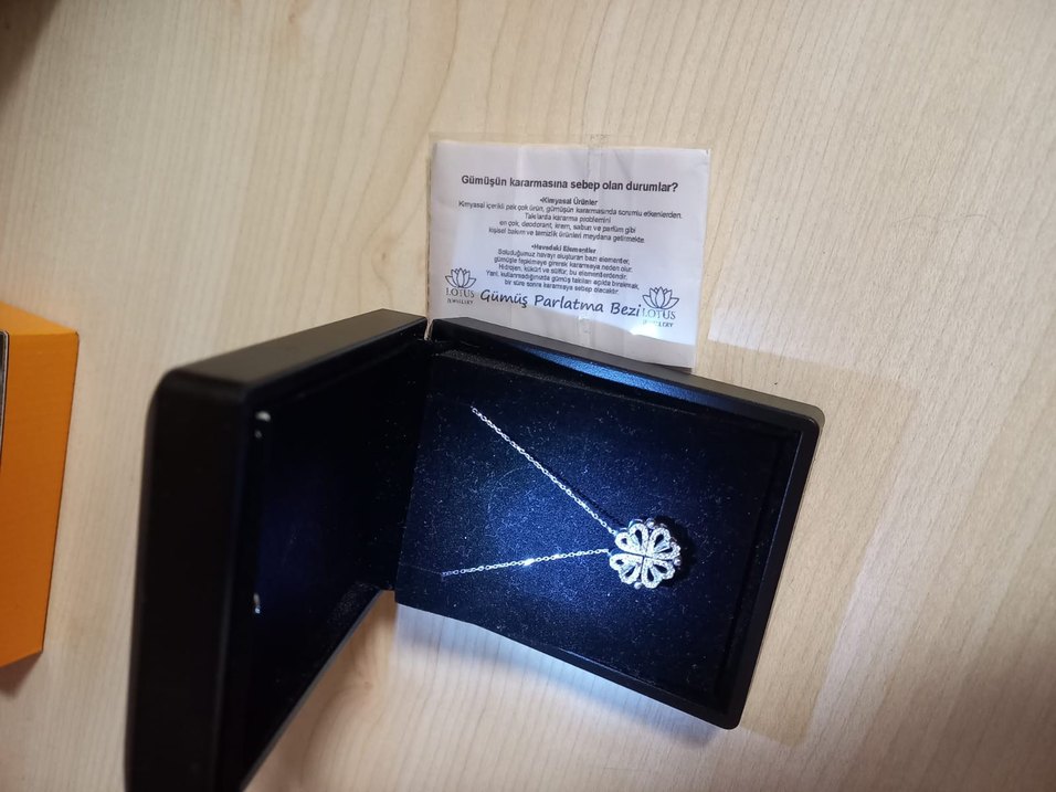 925 ayar gümüş Renkli Kalp Desenli Zincir Kolye - Görsel 3