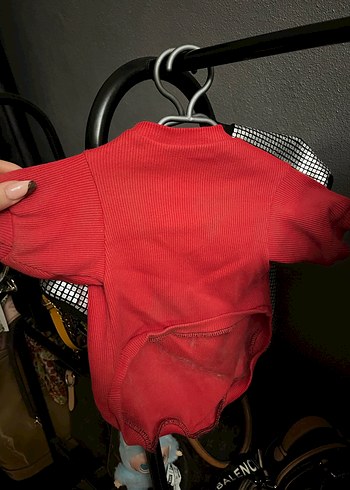 Kırmızı Sokak Stili Köpek Kıyafeti - Görsel 3