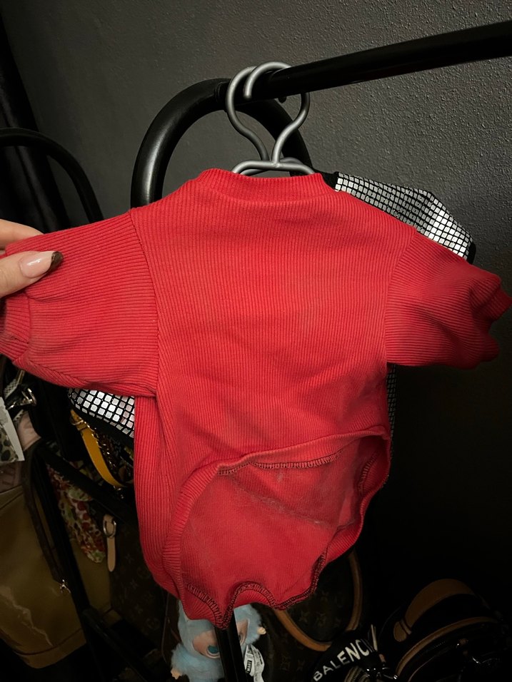 Kırmızı Sokak Stili Köpek Kıyafeti - Görsel 3