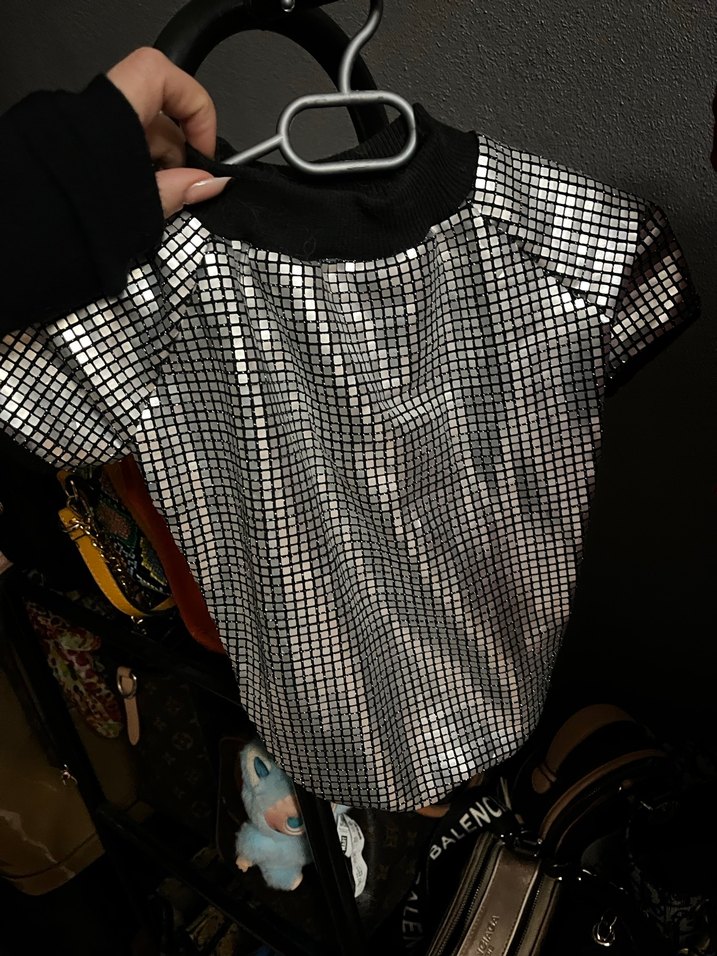 Parlak Gri Pullu Sokak Stili Köpek Kıyafeti - Görsel 3