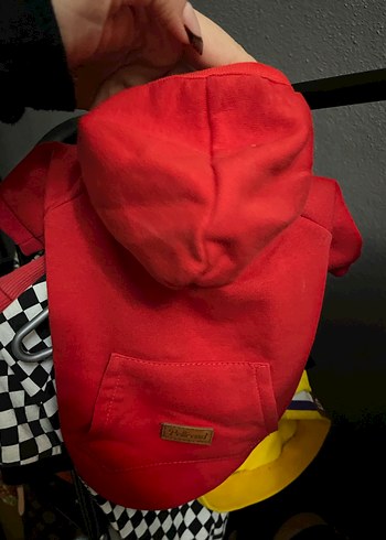 küçük ırk köpeklere uygun köpek sweetie - Görsel 3