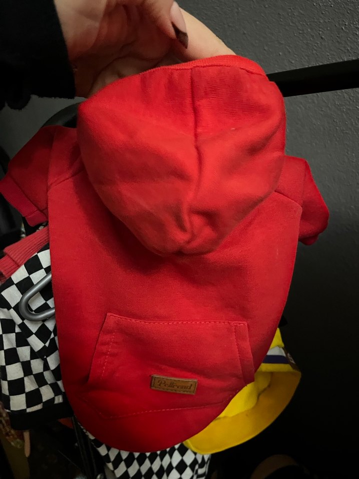 küçük ırk köpeklere uygun köpek sweetie - Görsel 3