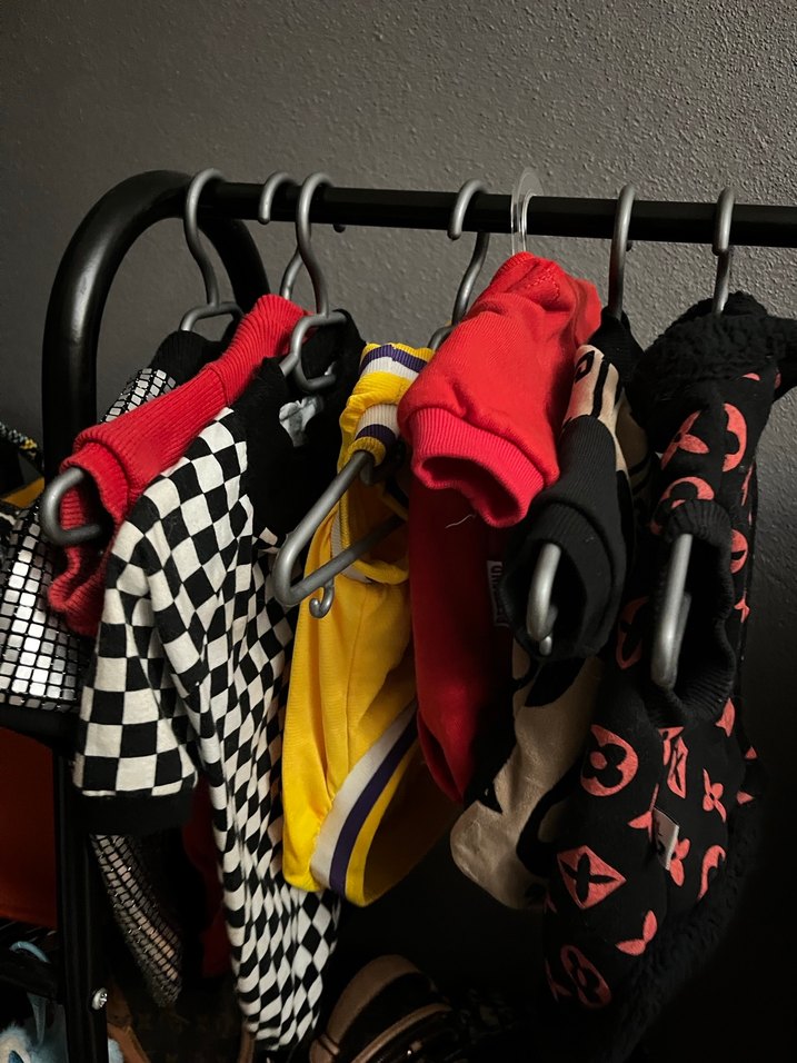 Kırmızı Desenli lv Köpek Kıyafeti - Görsel 2