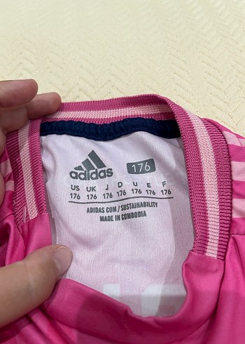 Almanya musi - Görsel 3