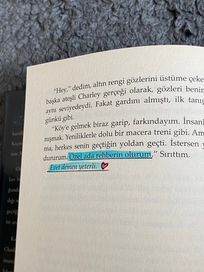 Ada Serisi 3 Kitap - Görsel 3