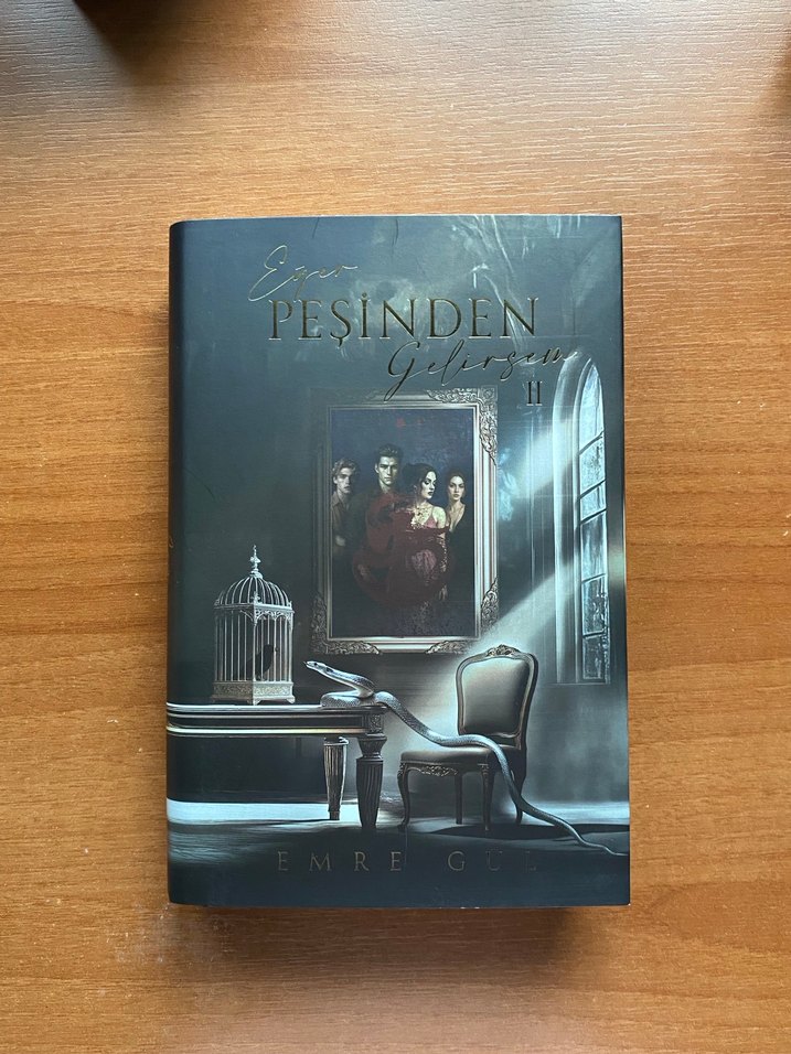 Eğer Peşinden Gelirsem 2 - Emre Gül - Görsel 2