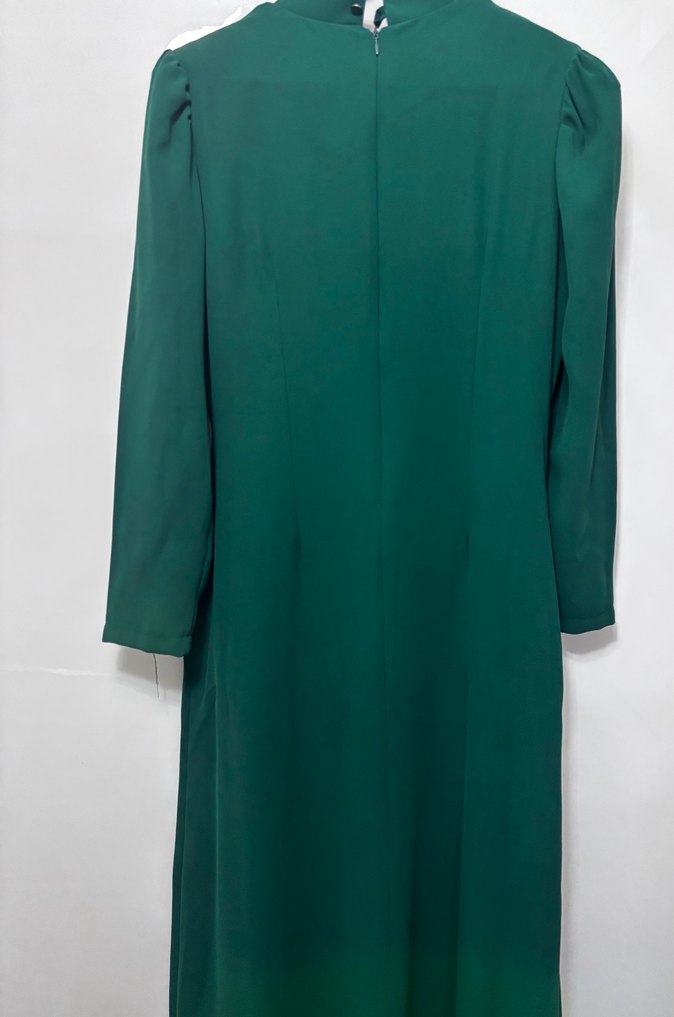 Yeşil Uzun Kollu Drapeli Kadın Abiye Elbise - Görsel 2