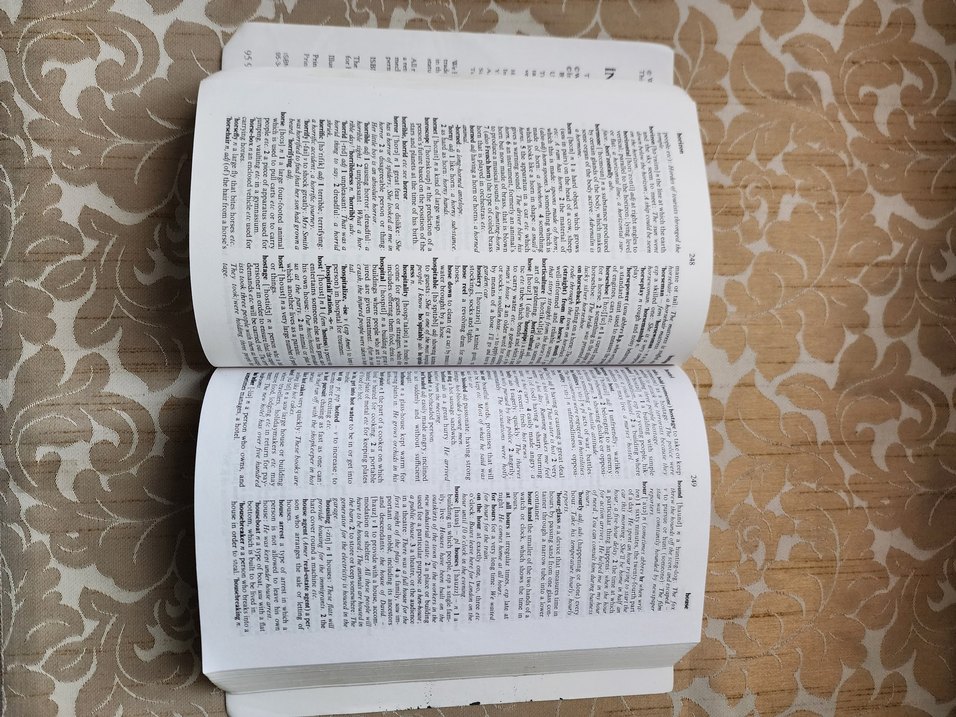 Chambers Concise Usage Dictionary İngilizce - Görsel 3