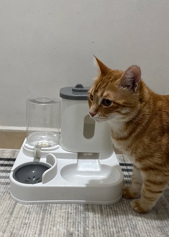 Mama Ve Su Kabı - Görsel 5