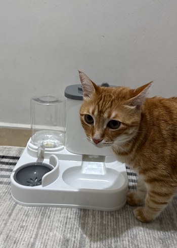 Mama Ve Su Kabı - Görsel 4