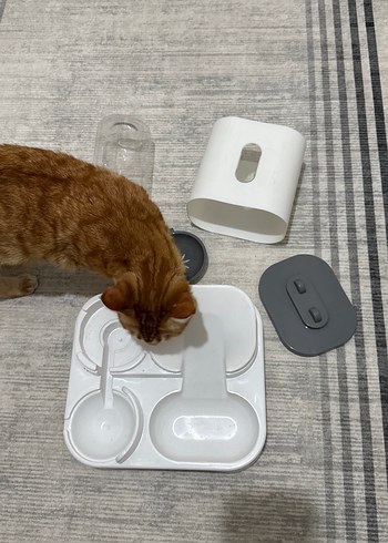 Mama Ve Su Kabı - Görsel 2