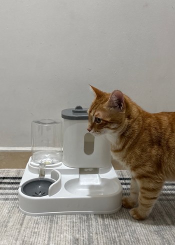 Mama Ve Su Kabı - Görsel 6