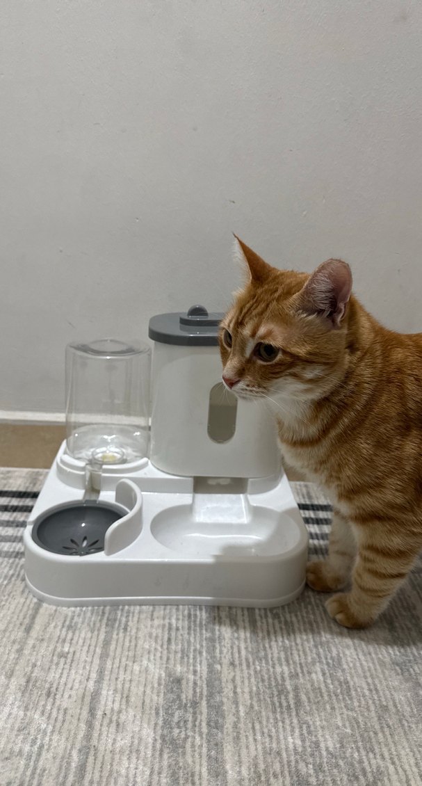 Mama Ve Su Kabı - Görsel 5