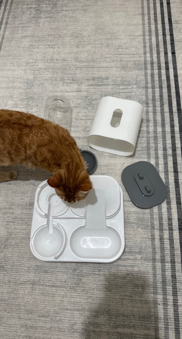 Mama Ve Su Kabı - Görsel 2