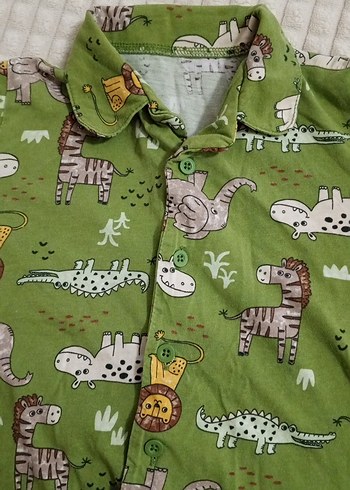 Renkli Desenli Erkek Çocuk Gömlek - Görsel 3