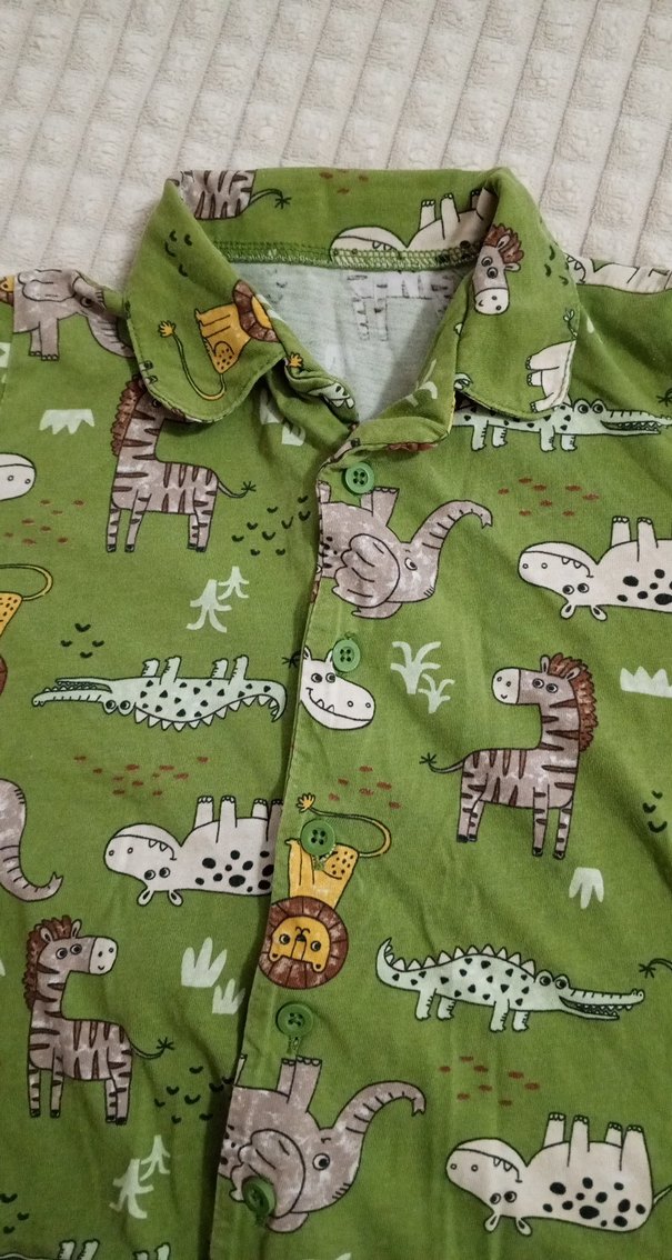 Renkli Desenli Erkek Çocuk Gömlek - Görsel 3