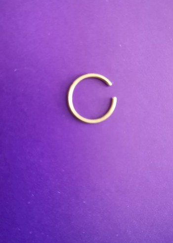 Altın Renk Minimalist Burun Piercingi - Görsel 2