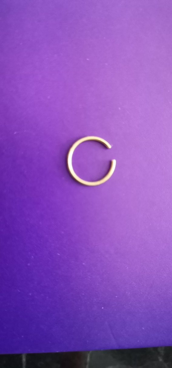 Altın Renk Minimalist Burun Piercingi - Görsel 2