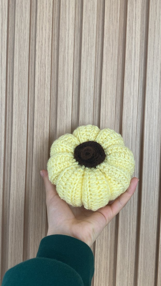 El Yapımı Örgü Kabak Süsleri - Görsel 3