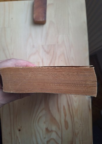 Bir Gün Tek Başına Vedat Türkali - Görsel 6