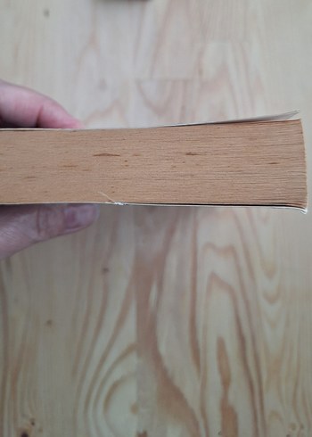 Diablo: Bartuc'un Mirası - Richard A. Knaak - Görsel 6