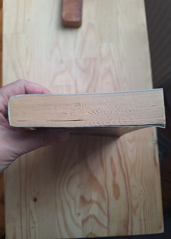 Efsane_Bir Barbaros Romanı İskender Pala - Görsel 6