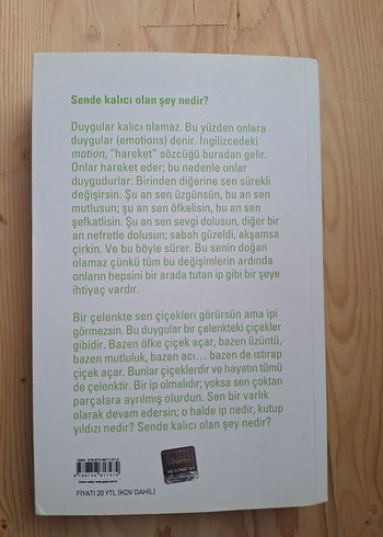 Duygusal İyileşme - Osho - Görsel 2