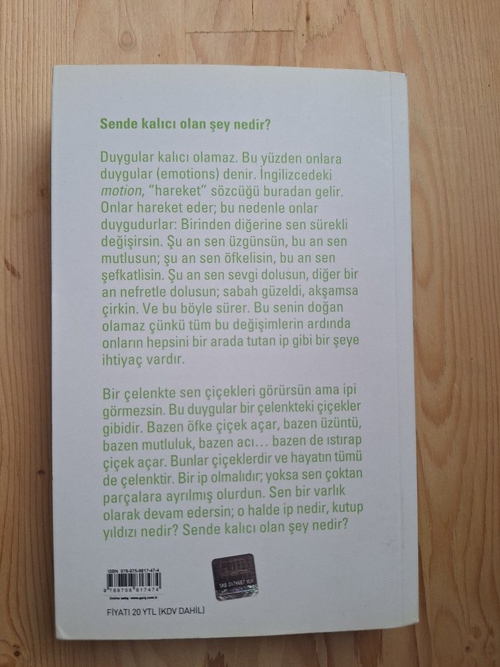 Duygusal İyileşme - Osho - Görsel 2