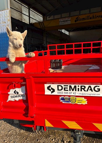 Kırmızı Çapa Makinası Araç 4x4 - Görsel 5