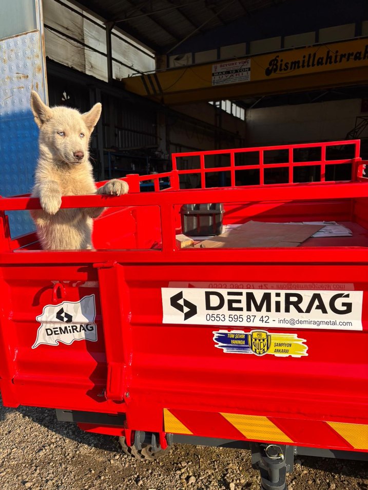 Kırmızı Çapa Makinası Araç 4x4 - Görsel 5