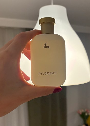 MUSCENT Kadın Parfümü MEMO MADURAI - Görsel 4