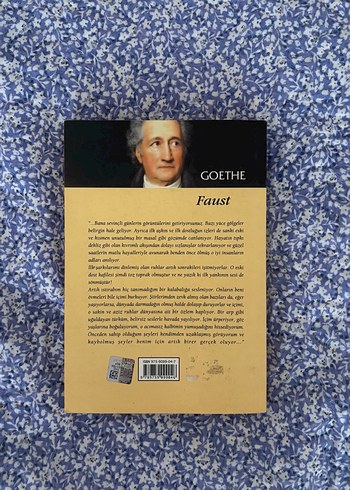 Dünya Klasikleri: Goethe - Faust Roman - Görsel 2